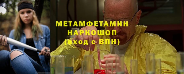 индика Ельня