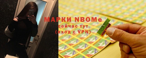 индика Ельня