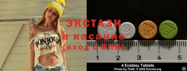 индика Ельня