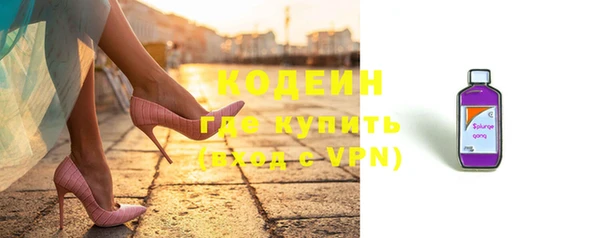 индика Ельня