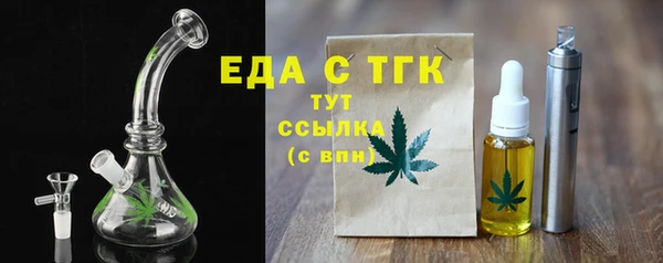 индика Ельня