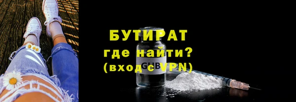 индика Ельня