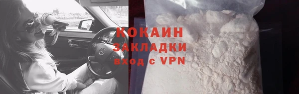 индика Ельня