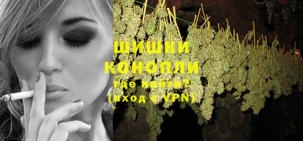 индика Ельня