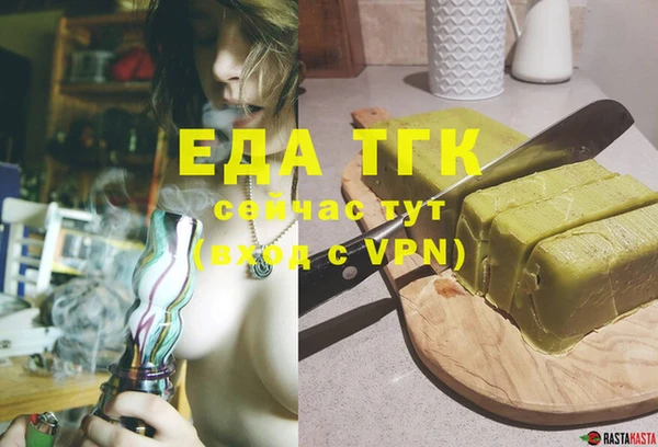 индика Ельня