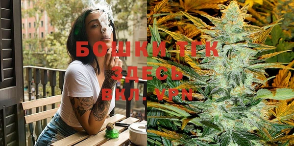 spice Елизово