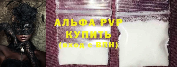 индика Ельня