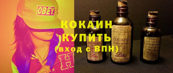 индика Ельня