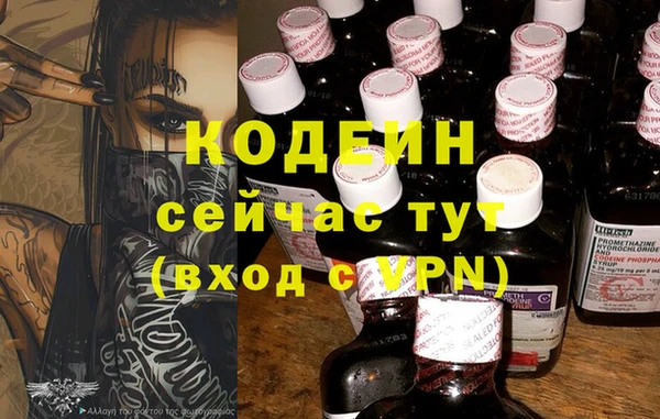 индика Ельня