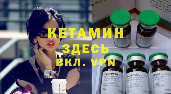 индика Ельня