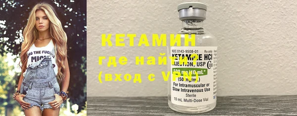 индика Ельня