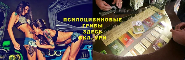 spice Елизово