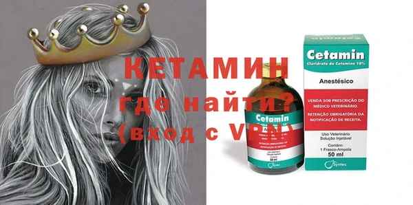 индика Ельня