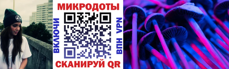 где купить наркотик  Полтавская  Псилоцибиновые грибы Psilocybe 
